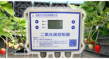 中國北方CO?新技術(shù)，將促進(jìn)農作物光合作用和光合產(chǎn)物的生成