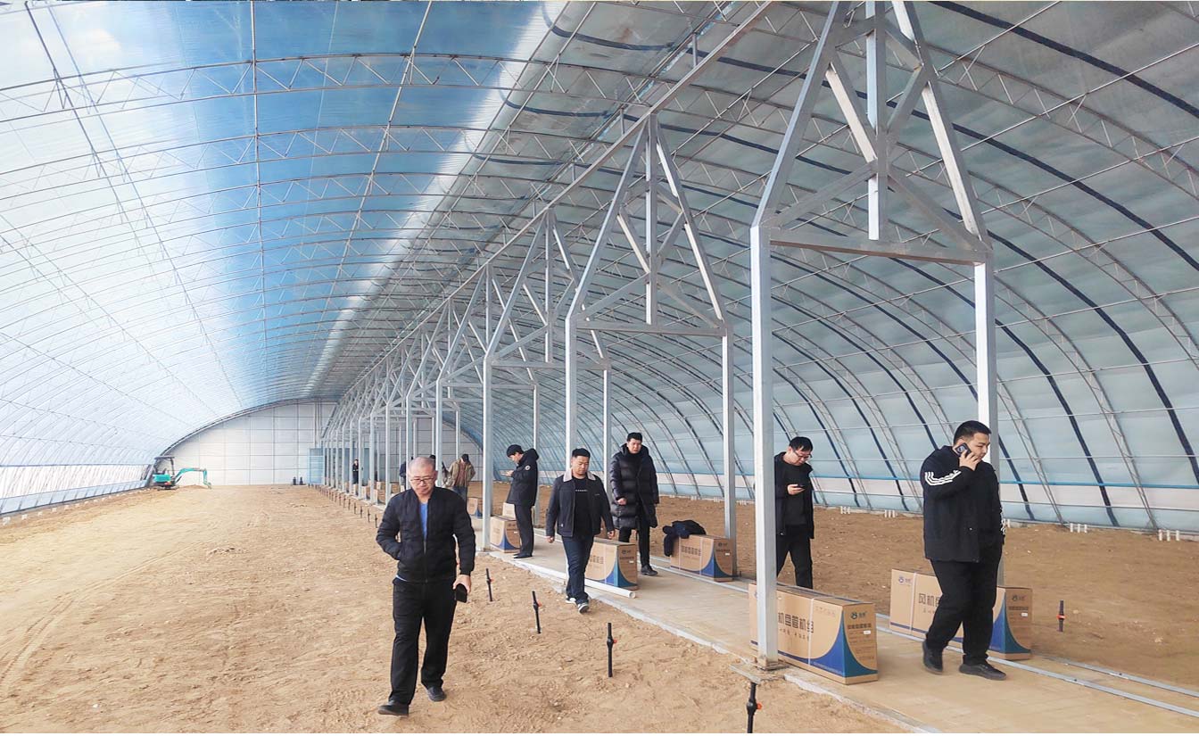 大路鎮苗家灘社區項目-智能溫室、日光溫室建設項目_09.jpg